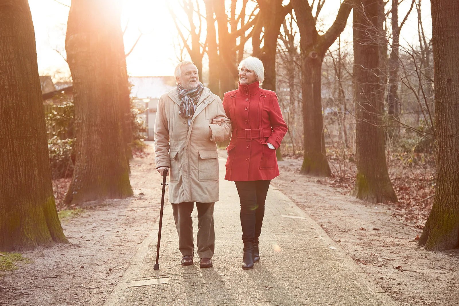 Ergonomic Walking Canes